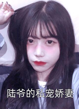 爱意化春泥无删减+无广告