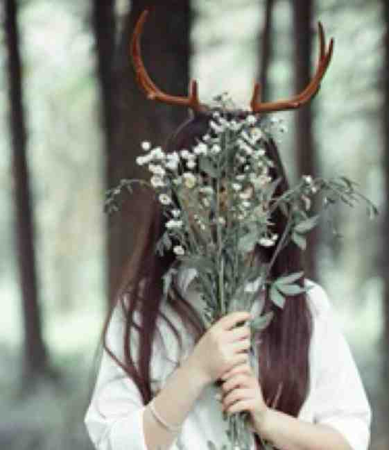 纵使悲凉也是情全文