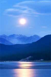 卿卿知我意知乎