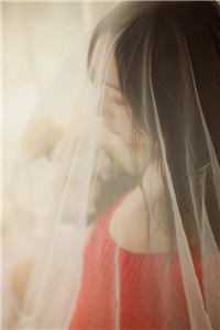 重生天才全断更，抄袭千金慌了知乎