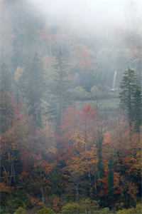 重生后，我不再执着连长丈夫免费