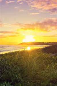 爱里的谎言，仇恨的真相广告+结局