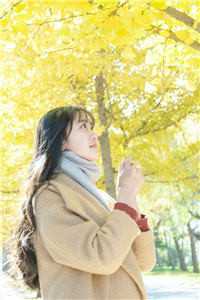 人生若只如初见完整