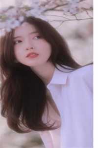 人生若只如初见全文免费