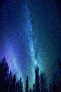 永不相见，永不怀念免费看