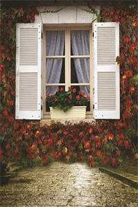 和离前夜，她重生回了出嫁前宁芙宗肆全文免费阅读无弹窗大结局