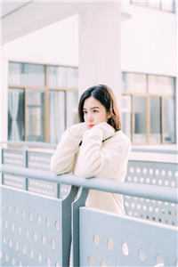 女友回乡下后,他仕途圆满陈明浩陈明浩李冬梅在线阅读免费阅读完整版小说