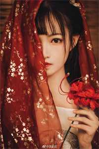 雾隐繁花情已逝宋颜泽江晚吟完结版阅读免费阅读笔趣阁txt