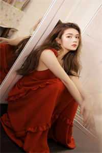 从此繁星不再傅臻兴傅繁星txt小说全集完整版免费阅读