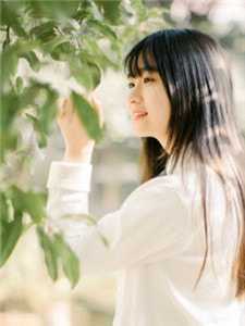 微风轻拂又见你陆沉林书意完结版阅读最新章节在线阅读