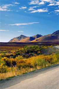 春到南楼雪尽处结局+番外笔趣阁傅庭州苏枝夏小说免费在线阅读全本在线