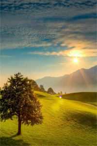 和夫君一起重生后，我登基为帝谢无云林清许全集在线阅读有声小说