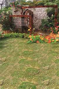 我曾虔诚爱你温以情周斯越全本免费在线阅读