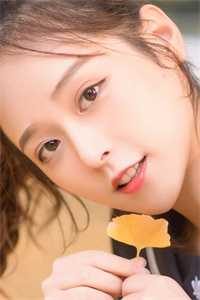 昨夜星辰今已沉陆明川沈婉完结版免费在线阅读