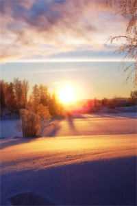 爱恨两宽，各生欢喜叶繁星顾淮川免费小说免费完本小说在线阅读