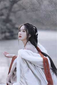 官嫂张元庆秦林宇完结版免费阅读全本在线