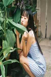 不惹往昔相思痛内容精选免费全章节在线阅读全本在线阅读