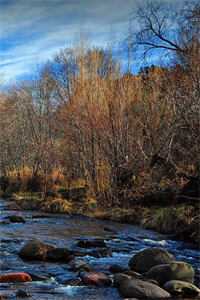 妹妹顶替我的命格嫁入侯府后，我杀疯了侯府珞瑜完结版在线阅读最新章节在线阅读