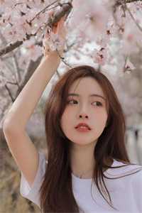 转嫁京圈大佬后，前任悔不当初苏婉禾司北琛免费阅读完整版txt小说无删减