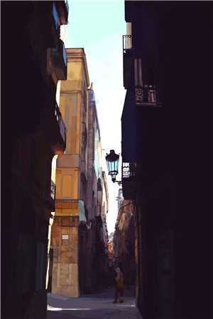 为查姐姐下落，我铤而走险：+后续+结局程秋棠宋嘉乐顾怀瑾全文免费阅读全集在线阅读