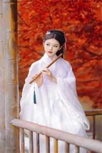 转嫁京圈大佬后，前任悔不当初苏婉禾司北琛完整版免费在线阅读完结版免费阅读