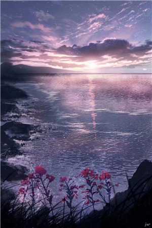 天生好命，孤儿秒变豪门团宠江妤傅清辞小说全文免费阅读无弹窗大结局