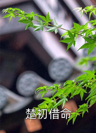 畅销巨著前妻攻略：傅先生偏要宠我