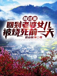 完整文集登上官场巅峰，从打击恶势力开始