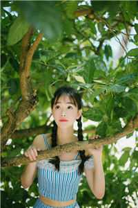 龙个生宝七剖嫂真子子宝月为侄在哪看