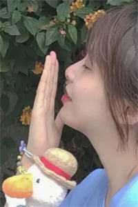 路遥星亦迟：结局+番外常梨厉晏舟全文免费在线阅读完整版全本笔趣阁