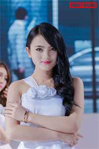 此情可待成追忆陆婉婉陆沉全集免费在线阅读下载